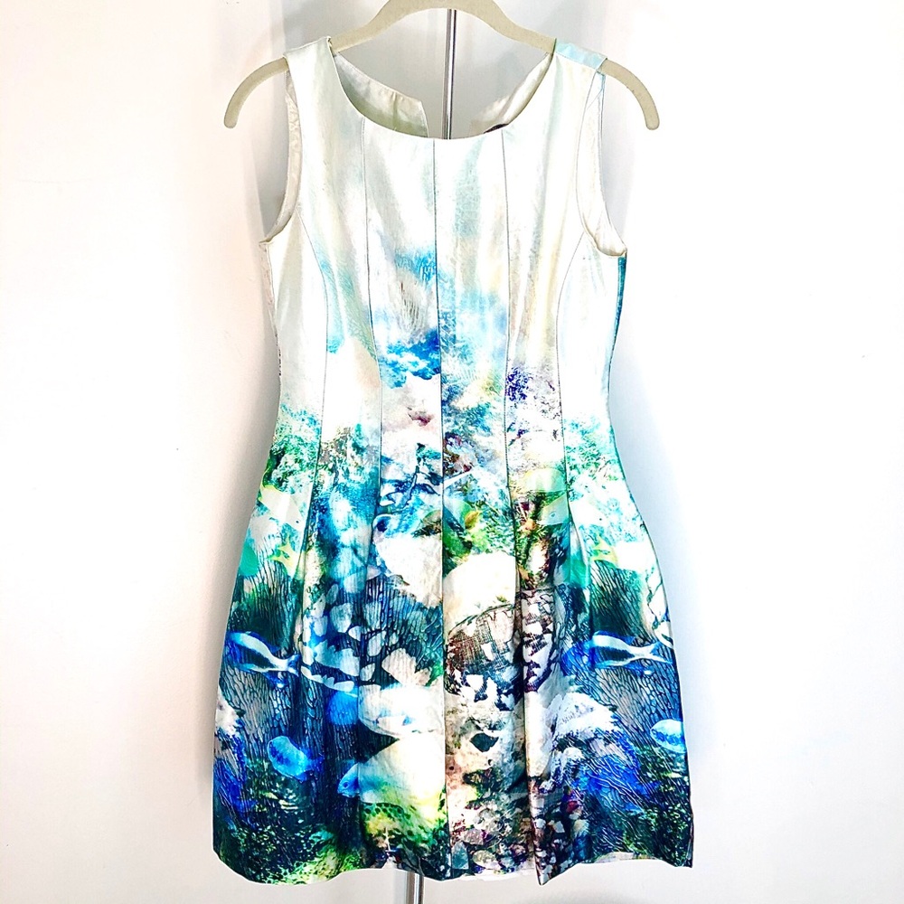 Zara Ocean Graphic Dress